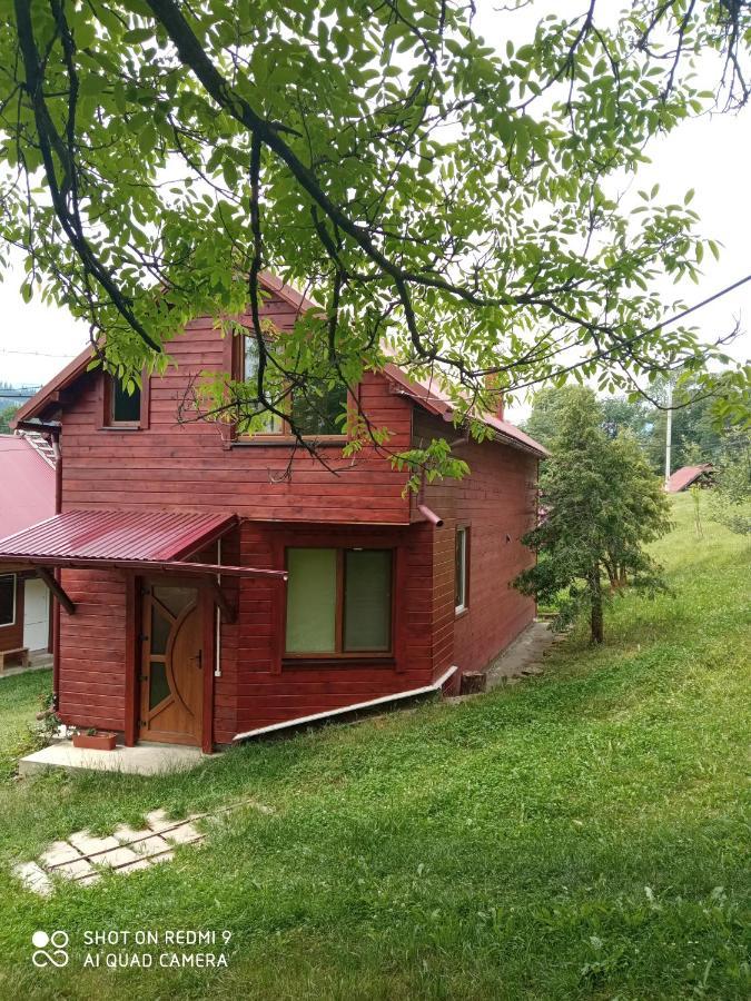 Котедж "Барвінок" Verkhovyna Exterior foto