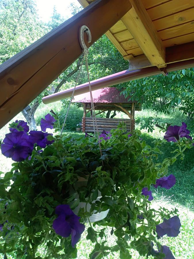 Котедж "Барвінок" Verkhovyna Exterior foto