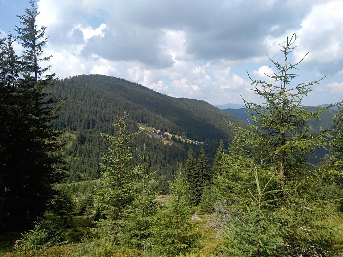 Котедж "Барвінок" Verkhovyna Exterior foto