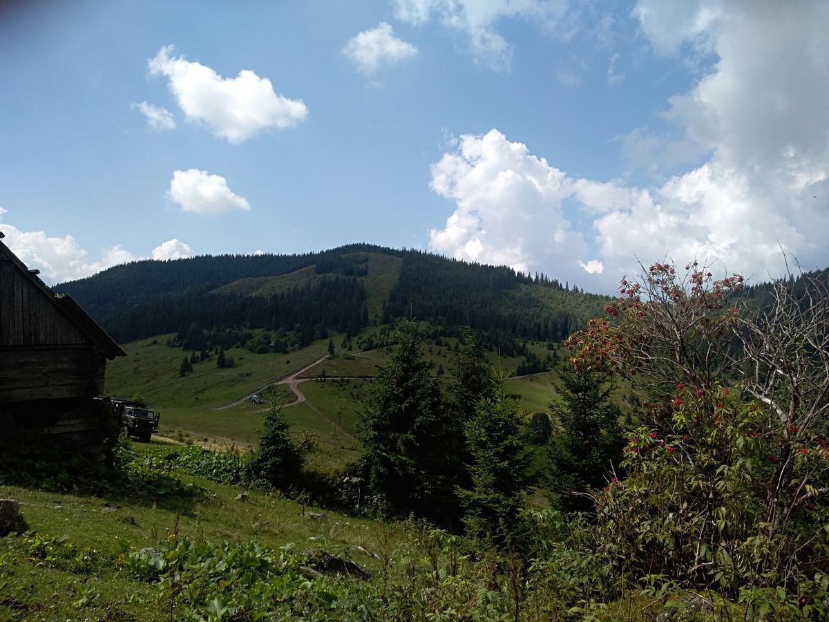 Котедж "Барвінок" Verkhovyna Exterior foto