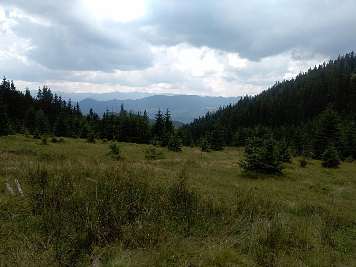 Котедж "Барвінок" Verkhovyna Exterior foto